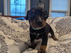 Tilly