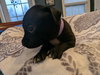 Zoey