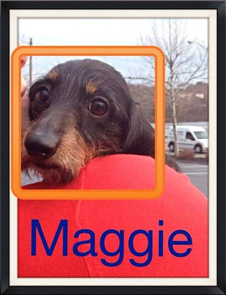 Maggie