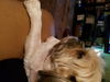 Cleo