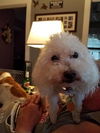 Casper