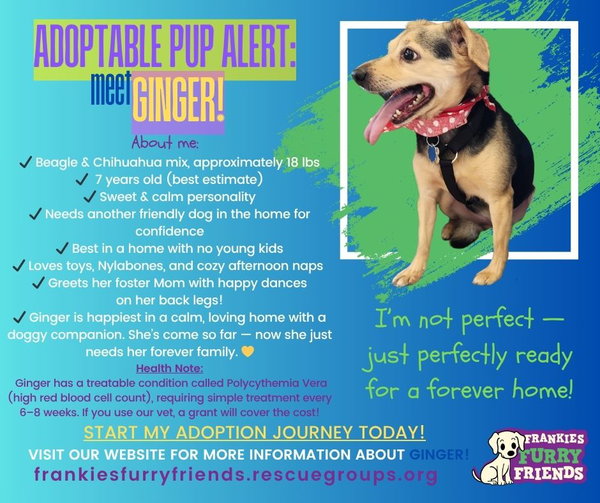Ginger
