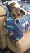 Cooper