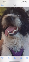 Chester