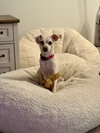 Ramona - Photo 7