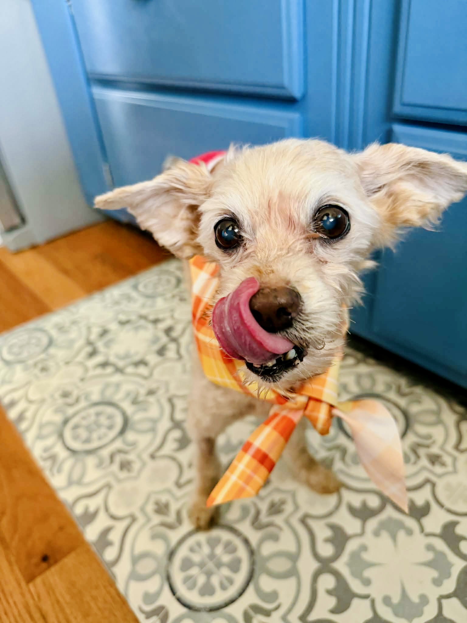 Toby