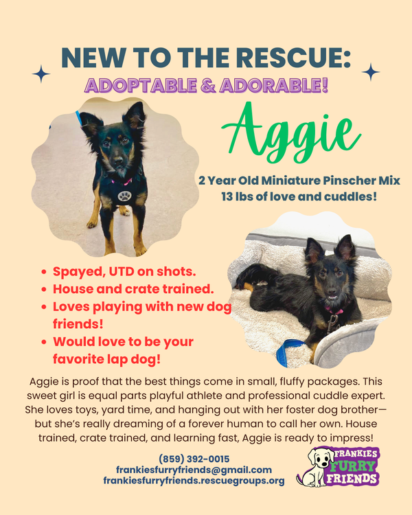 Aggie