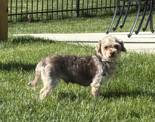 Avery photo 3