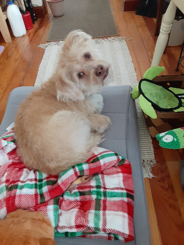 Fred