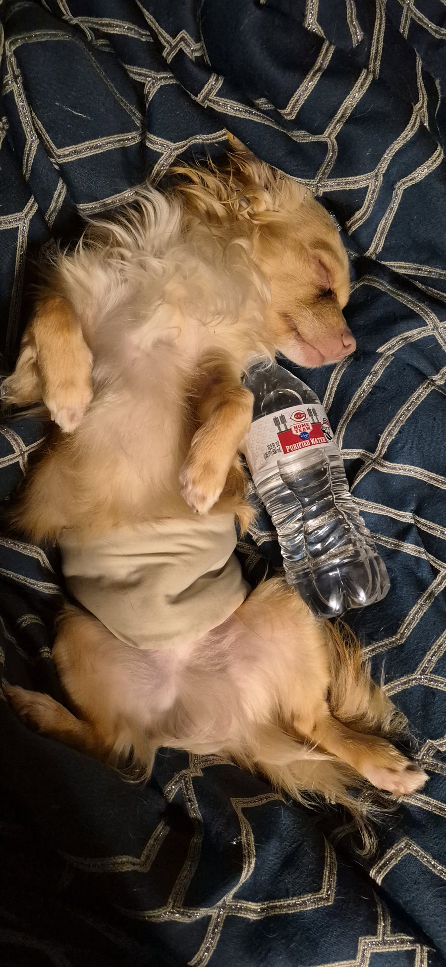Frankie
