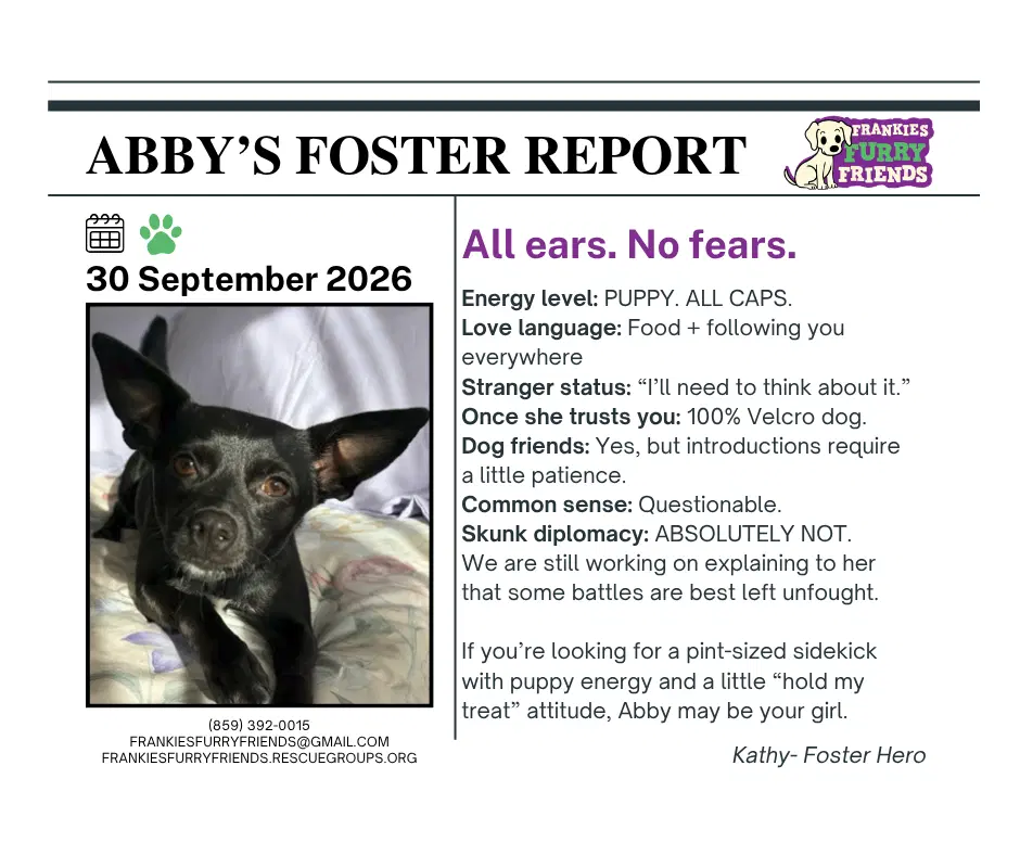 Abby image 3