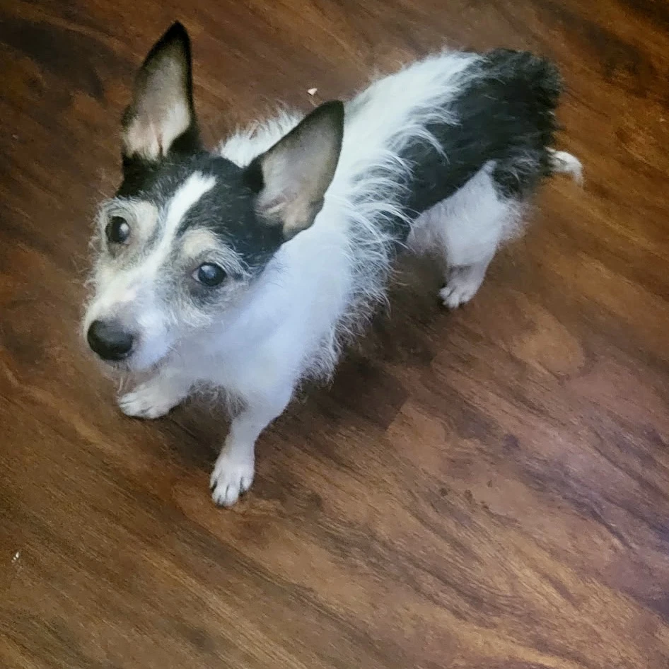 Minnie