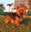Charlie