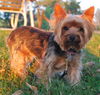 Charlie