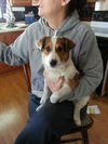 Colby