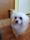 Casper