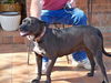 Sweet Sallie