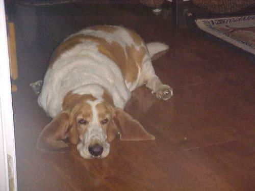 Buford