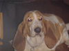 Buford