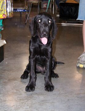Black Jack