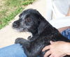 Cooper