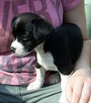 Charlie