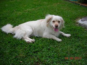 Sparky 2