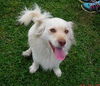 Sparky 2