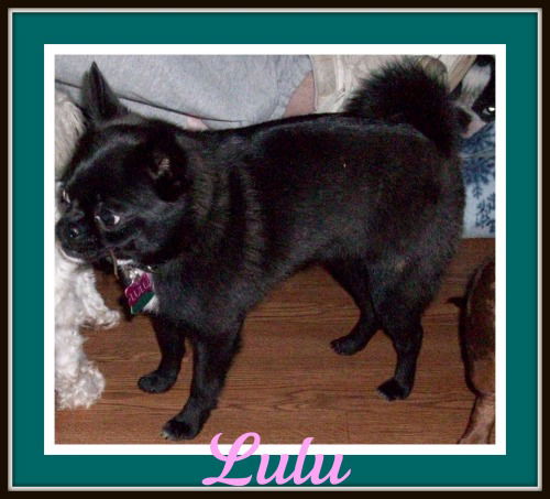 Lulu