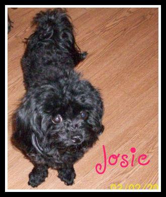 Josie