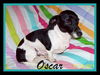 Oscar