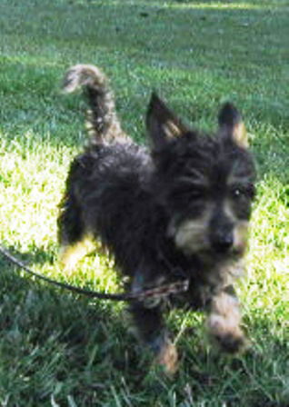 Charlie
