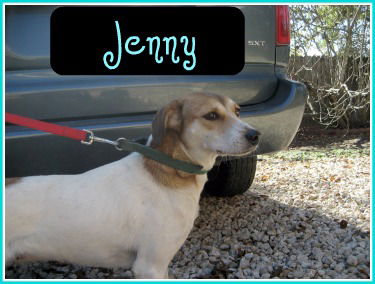 Jenny