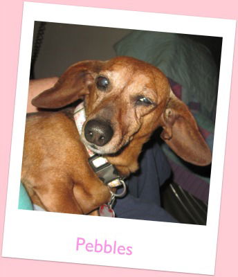 Pebbles