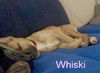 Whiski