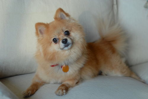 Bella