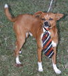 Rusty