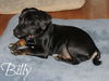Billy