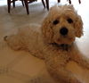 Casper