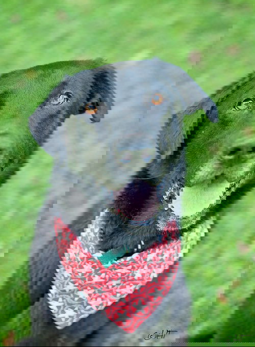 Ethan #2