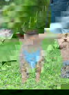 Squirt