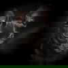 Coal