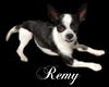 Remy