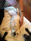 JUNIE