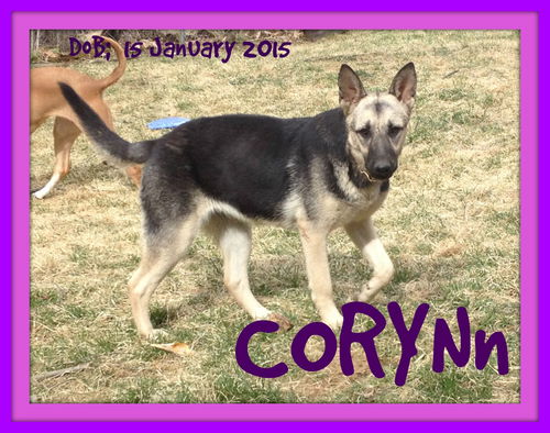 CORYNN
