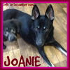 JOANIE