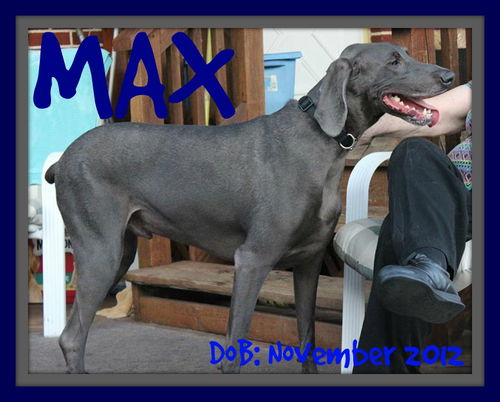 MAX