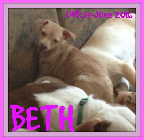 BETH