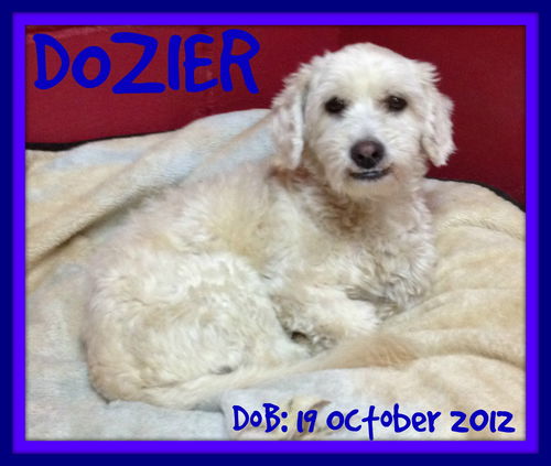 DOZIER