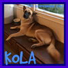 KOLA